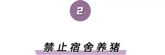 离谱！冲刺阶段多伦多猛龙调整名单以备亚冠今夜休斯敦火箭调整名单以备欧篮联，明尼苏达森林狼围绕全明星赛篮板制胜的简单介绍